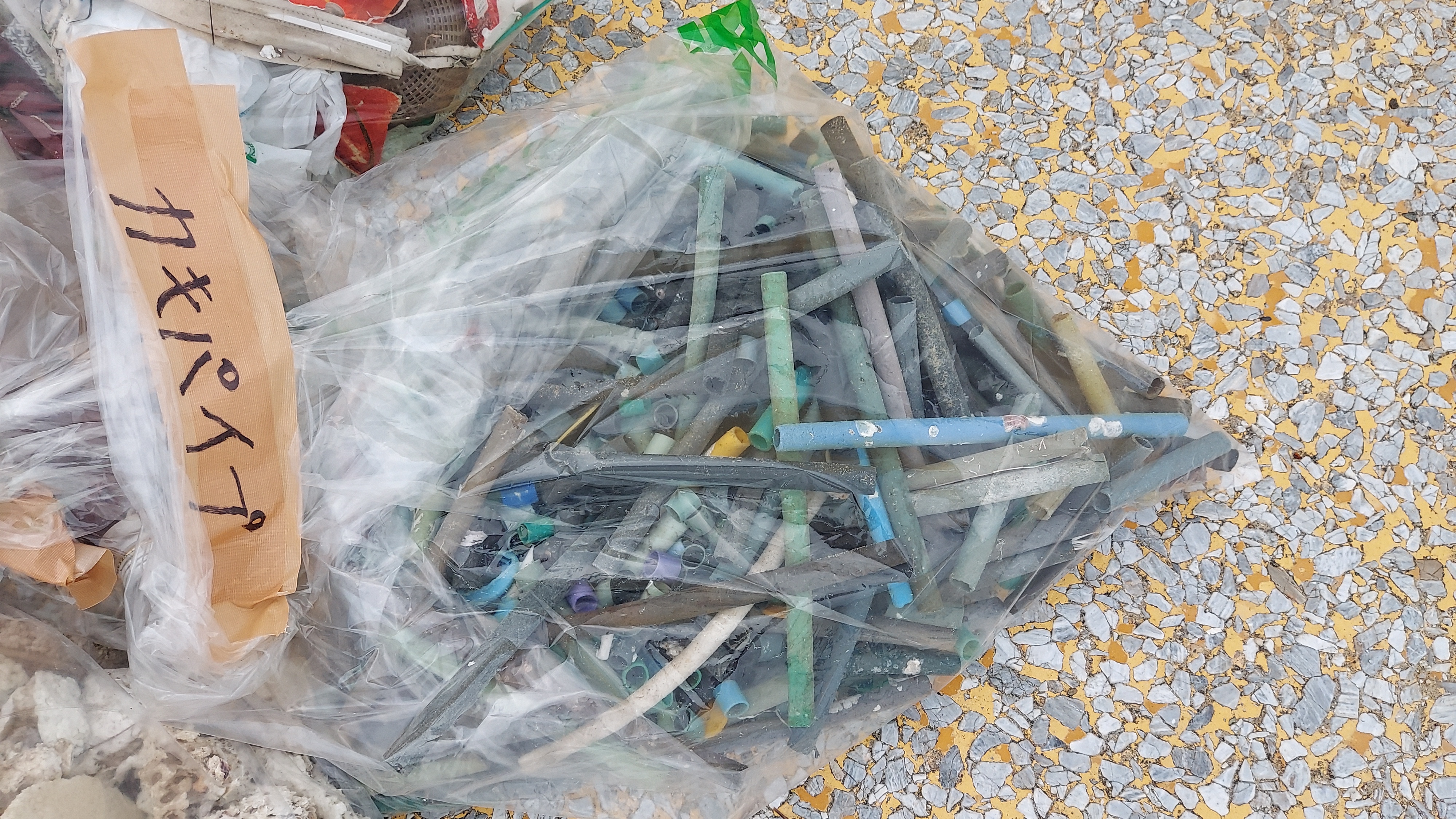 牡蠣養殖用のプラスチックパイプ