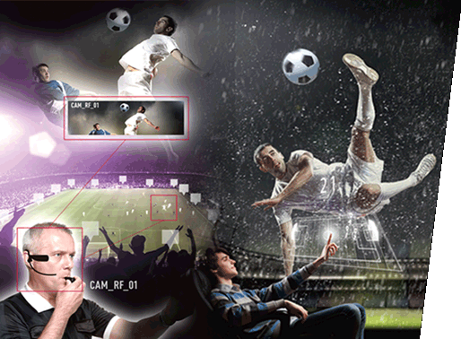 Sports viewing Sports viewing