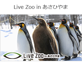 Live Zoo In あさひやまの画像